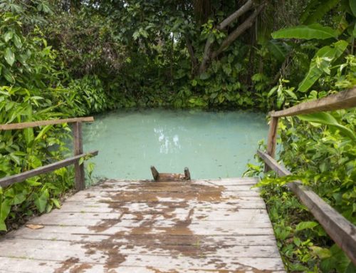 Busca por destinos de natureza crescem em julho