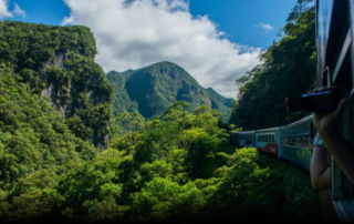 Passeio pela Serra do Mar de Trem, um dos mais belos do planeta